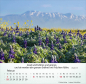 Preview: Kalender-Israel Shalom 2026 Preview: Kalender-Israel Shalom 2026