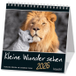 Preview: Kalender-Kleine Wunder sehen 2026 Preview: Kalender-Kleine Wunder sehen 2026