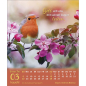 Preview: Kalender-Guten Tag 2025 Preview: Kalender-Guten Tag 2025
