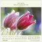 Preview: Kalender-Blumengrüße 2026 Preview: Kalender-Blumengrüße 2026