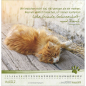 Preview: Kalender-Katzen-Tatzen 2026 Preview: Kalender-Katzen-Tatzen 2026