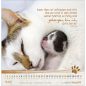 Preview: Kalender-Katzen-Tatzen 2026 Preview: Kalender-Katzen-Tatzen 2026
