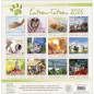 Preview: Kalender-Katzen-Tatzen 2026 Preview: Kalender-Katzen-Tatzen 2026