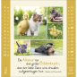 Preview: Kalender-Kleine Freuden entdecken 2026 Preview: Kalender-Kleine Freuden entdecken 2026