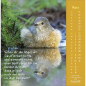 Preview: Kalender-Gottes Liebe ist wie die Sonne 2026 Preview: Kalender-Gottes Liebe ist wie die Sonne 2026