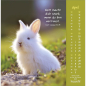 Preview: Kalender-Gottes Liebe ist wie die Sonne 2026 Preview: Kalender-Gottes Liebe ist wie die Sonne 2026