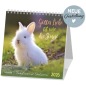 Preview: Kalender-Gottes Liebe ist wie die Sonne 2026 Preview: Kalender-Gottes Liebe ist wie die Sonne 2026