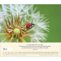 Preview: Kalender-Balsam für deine Seele 2026 Preview: Kalender-Balsam für deine Seele 2026