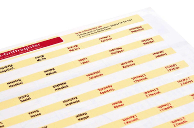 Preview: Bibel-Griffregister ohne Apogryphen