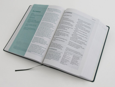 Die Bibel mit Impulsen von Joyce Meyer (Bibel - Gebunden (Flexcover)