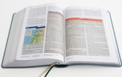 Elberfelder Studienbibel - Sein Wort - meine Welt - Kunstlederausgabe