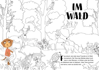 Sticker- und Malbuch-Fips entdeckt die Welt (Buch - Broschiert)