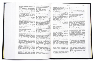 Schlachter Bibel 2000 - Großdruckausgabe, schwarz