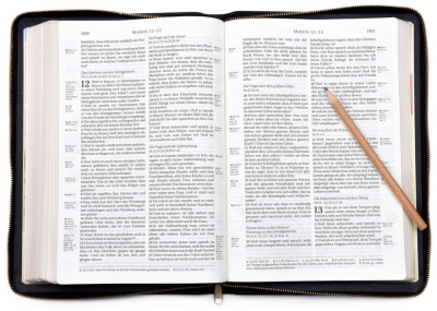 Preview: Schlachter 2000 - Standardausgabe Leder mit Reißverschluss (Bibel - Leder)