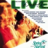 Spring Harvest-Live Worship 1996 Vol. 2