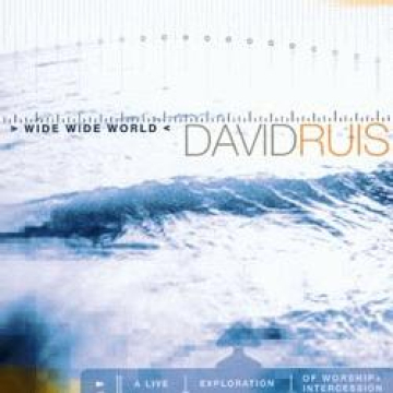 David Ruis-Wide Wide World