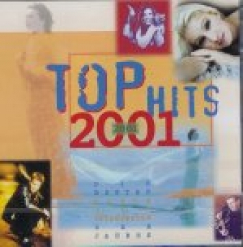 Various Artists-Top Hits 2001