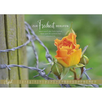 Kalender-Die Liebe bleibt 2026 Kalender-Die Liebe bleibt 2026