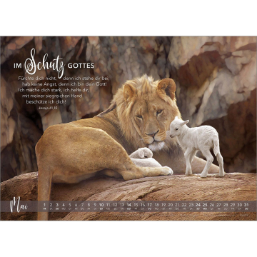 Kalender-Die Liebe bleibt 2026 Kalender-Die Liebe bleibt 2026