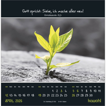 Kalender-Kleine Wunder sehen 2026 Kalender-Kleine Wunder sehen 2026