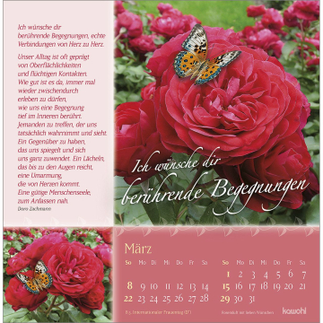 Preview: Kalender-Rosenduft mit lieben Wünschen 2026
