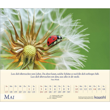 Kalender-Kostbares für deine Seele 2026