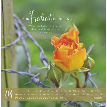 Kalender-Die Liebe bleibt bestehn 2026