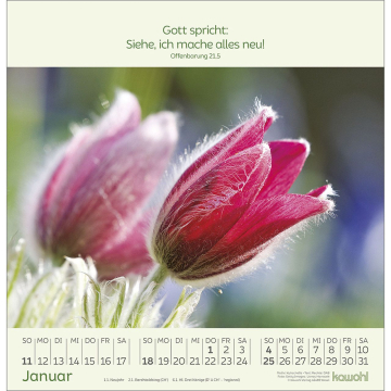 Kalender-Blumengrüße 2026 Kalender-Blumengrüße 2026