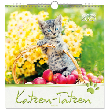 Kalender-Katzen-Tatzen 2026 Kalender-Katzen-Tatzen 2026