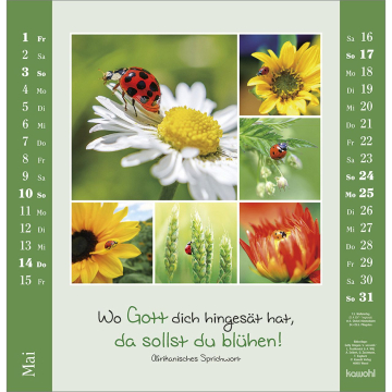 Kalender-Kleine Freuden entdecken 2026 Kalender-Kleine Freuden entdecken 2026
