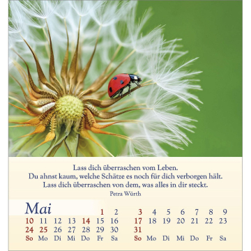 Kalender-Licht für deine Seele 2026