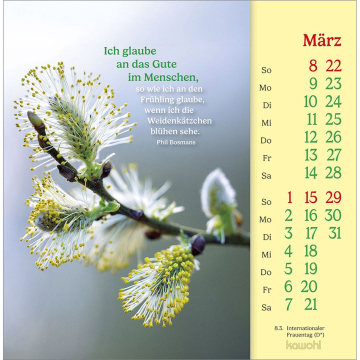 Phil Bosmans - Postkarten-Kalender 2026 Phil Bosmans - Postkarten-Kalender 2026