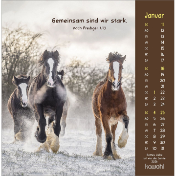 Kalender-Gottes Liebe ist wie die Sonne 2026 Kalender-Gottes Liebe ist wie die Sonne 2026