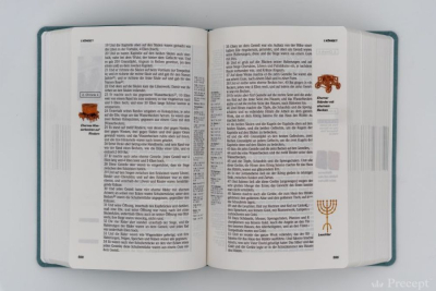 Die Neue Induktive Studienbibel - Schlachter (Bibel - PU Leder)