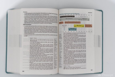 Die Neue Induktive Studienbibel - Schlachter (Bibel - PU Leder)