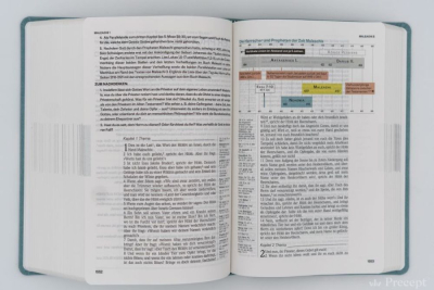 Die Neue Induktive Studienbibel - Schlachter (Bibel - PU Leder)