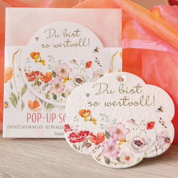 Preview: Pop-Up Schwamm - Du bist so wertvoll!