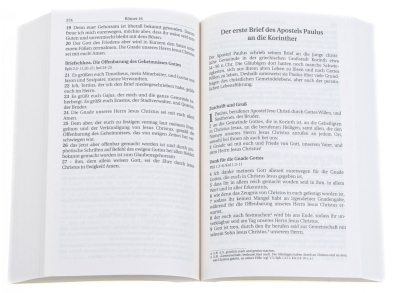 Preview: Schlachter 2000 - Neues Testament (beige) (Bibel - Taschenbuch)