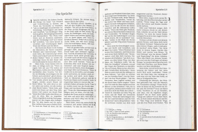 Elberfelder Bibel – Taschenausgabe (Hardcover, Leinen sandfarben) Elberfelder Bibel – Taschenausgabe (Hardcover, Leinen sandfarben)