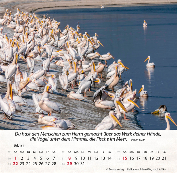 Kalender-Israel Shalom 2026 Kalender-Israel Shalom 2026