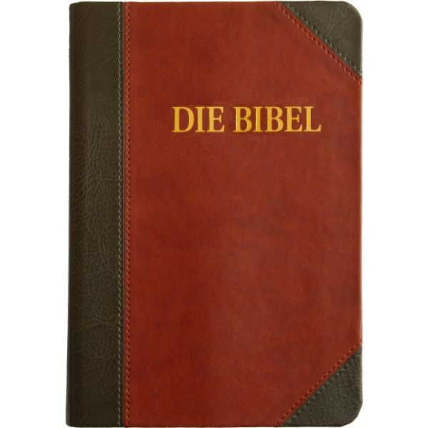 Schlachter 2000 - Großdruckausgabe, grau/braun, flexibel (Bibel - Kunstleder)