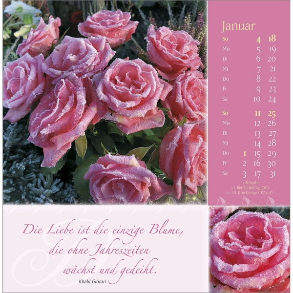 Kalender-Rosenduft mit lieben Wünschen 2026
