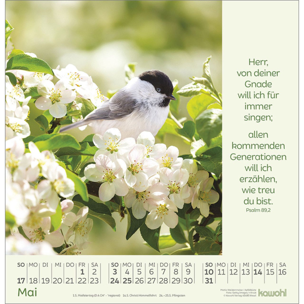 Kalender-Blumengrüße 2026 Kalender-Blumengrüße 2026