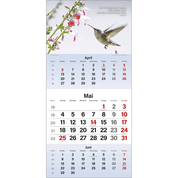 Kalender-Gott segne meinen Tag 2026 Kalender-Gott segne meinen Tag 2026