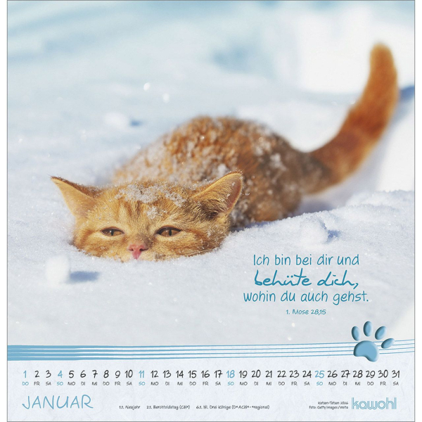 Kalender-Katzen-Tatzen 2026 Kalender-Katzen-Tatzen 2026