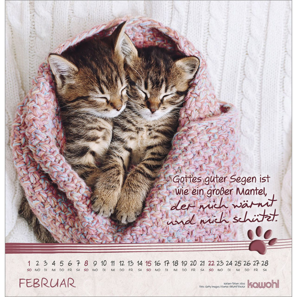 Kalender-Katzen-Tatzen 2026 Kalender-Katzen-Tatzen 2026