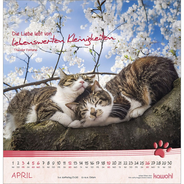 Kalender-Katzen-Tatzen 2026 Kalender-Katzen-Tatzen 2026
