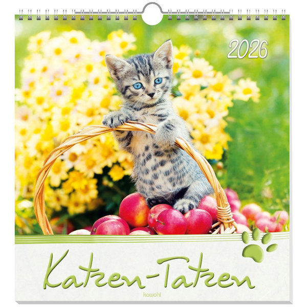 Kalender-Katzen-Tatzen 2026 Kalender-Katzen-Tatzen 2026