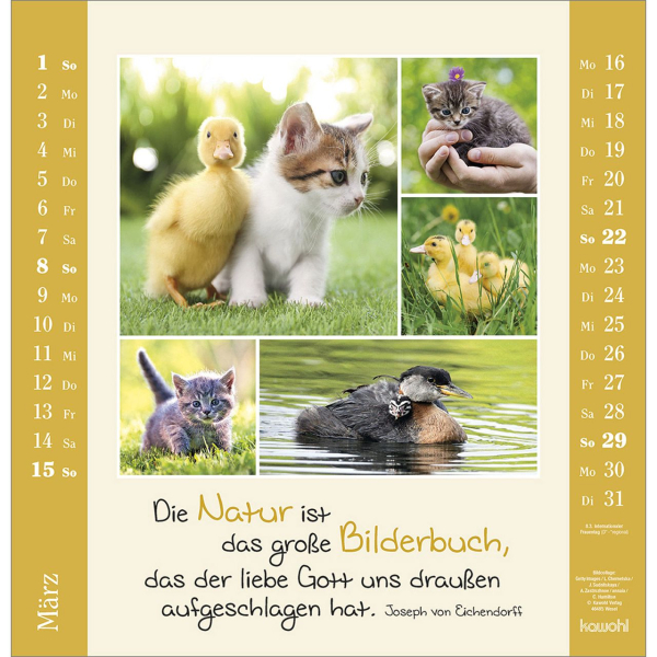 Kalender-Kleine Freuden entdecken 2026 Kalender-Kleine Freuden entdecken 2026