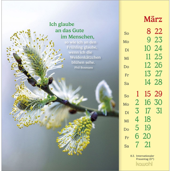Phil Bosmans - Postkarten-Kalender 2026 Phil Bosmans - Postkarten-Kalender 2026